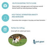 Pet Glam Super TUG - Rope Toy for Dog-Safe Toy for Puppies (Assorted Colors)