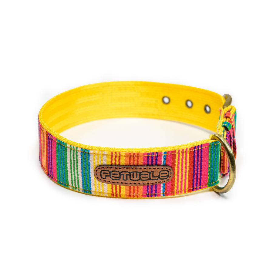 Buy Dog Collar and Harnesses at Best price Pawsindia