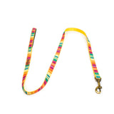 Colourful Stripes Leash with Padded Handle