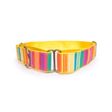 Colourful Stripes Dog Martingale Collar
