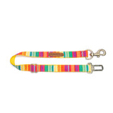 Colourful Stripes Dog Martingale Collar