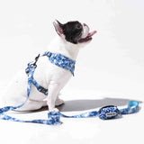 Wild Side No Pull Harness - Cool Camo