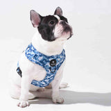 Wild Side No Pull Harness - Cool Camo