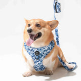 Wild Side No Pull Harness - Cool Camo