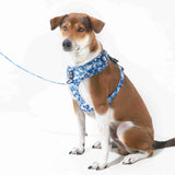 Wild Side No Pull Harness - Cool Camo