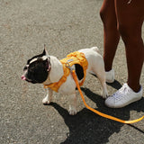 Bold Harness - Mango