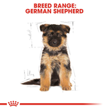 Royal Canin - German Shepherd Puppy Dry Food