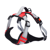 Basil - Full Harness Red