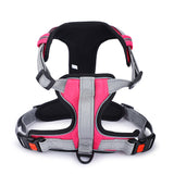 Basil - Full Harness Pink
