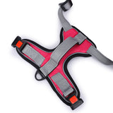 Basil - Full Harness Pink