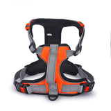 Basil - Full Harness Orange