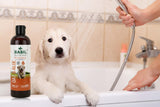 Basil - Oats & Aloe Shampoo