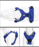 Truelove Classic Harness - Royal Blue
