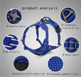 Truelove Classic Harness - Royal Blue
