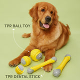 Flexy Bone Chew Toy for dogs