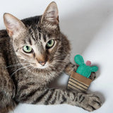 Blue cactus Cat Toys