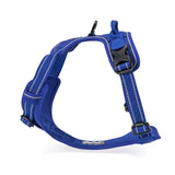 Truelove Classic Harness - Royal Blue