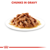 Royal Canin - Kitten Gravy Wet food