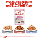 Royal Canin - Kitten Instinctive in Jelly