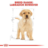 Royal Canin - Labrador Retriever Puppy Dry Food