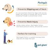 Pet Glam - Blaze - Martingale Dog Collar