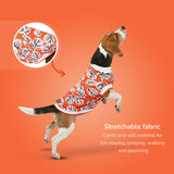 Blossom Dog Tee - orange