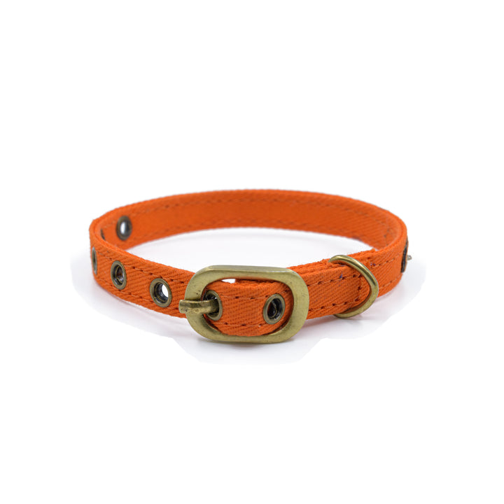 Buy Cat Products Online Cat Toys, Cat Food & more Pawsindia