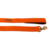 Orange Leash with Padded Handle