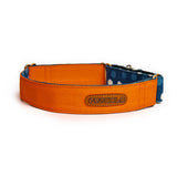 PetWale Orange Dog Martingale Collar