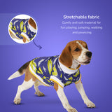 Dracarys Dog Tee - blue