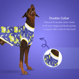 Dracarys Dog Tee - blue
