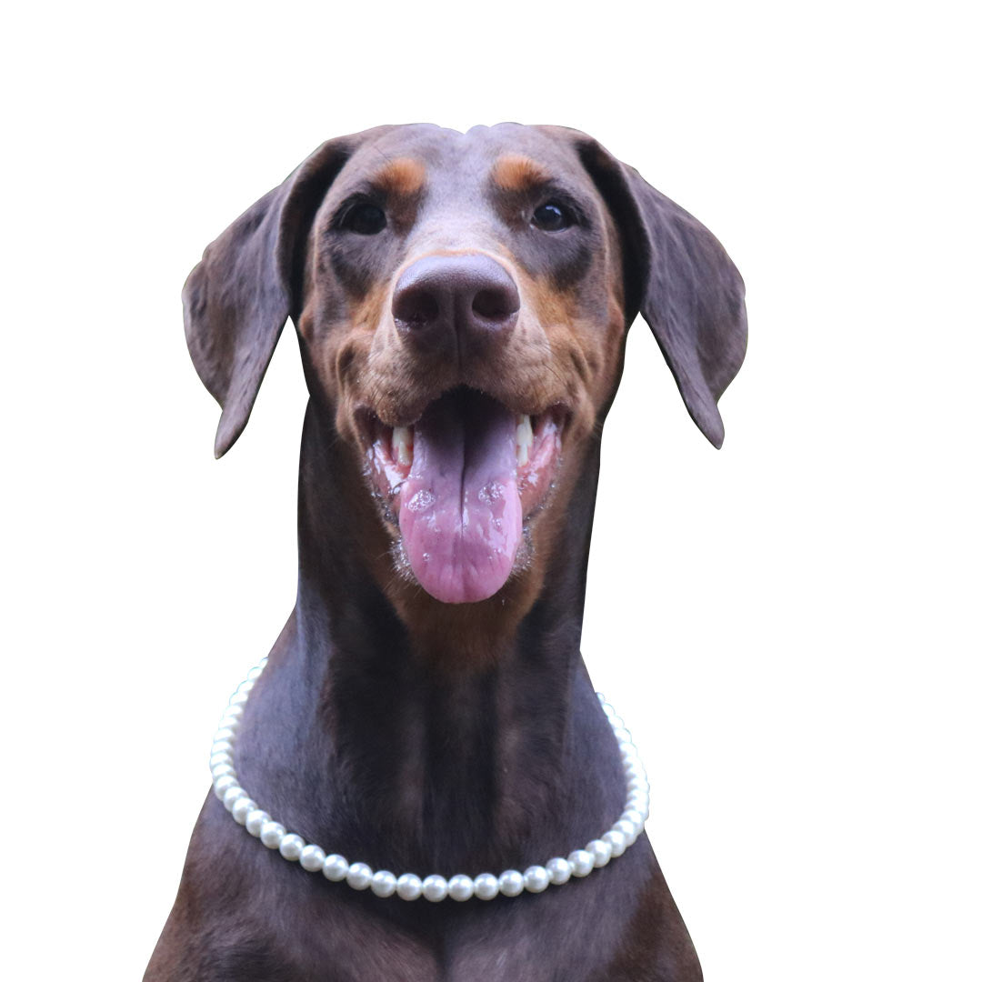 Pearl Dog Bead Necklace - Pets at Heart Boutique