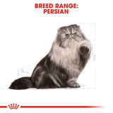 Royal Canin - Persian Adult Dry Cat Food