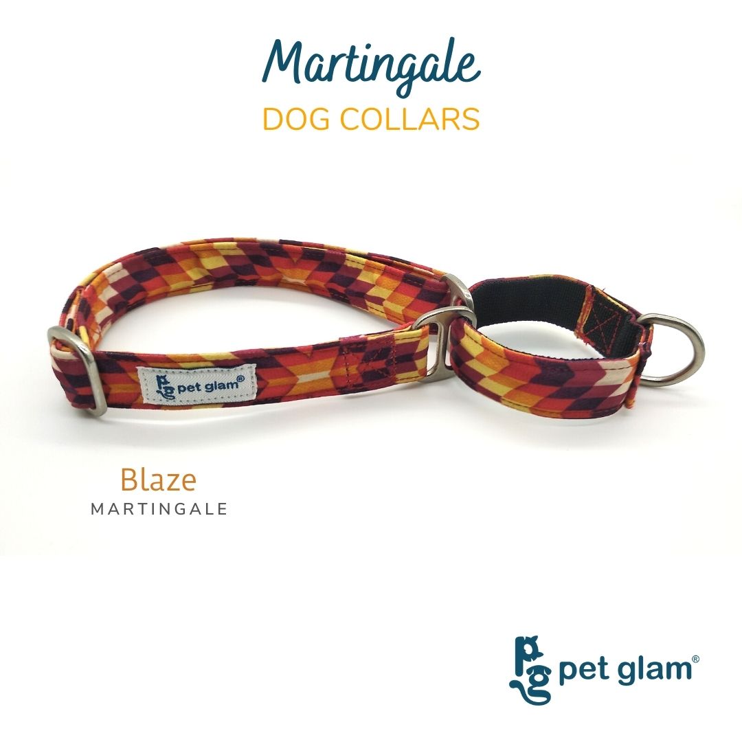 Pet Glam - Blaze - Martingale Dog Collar