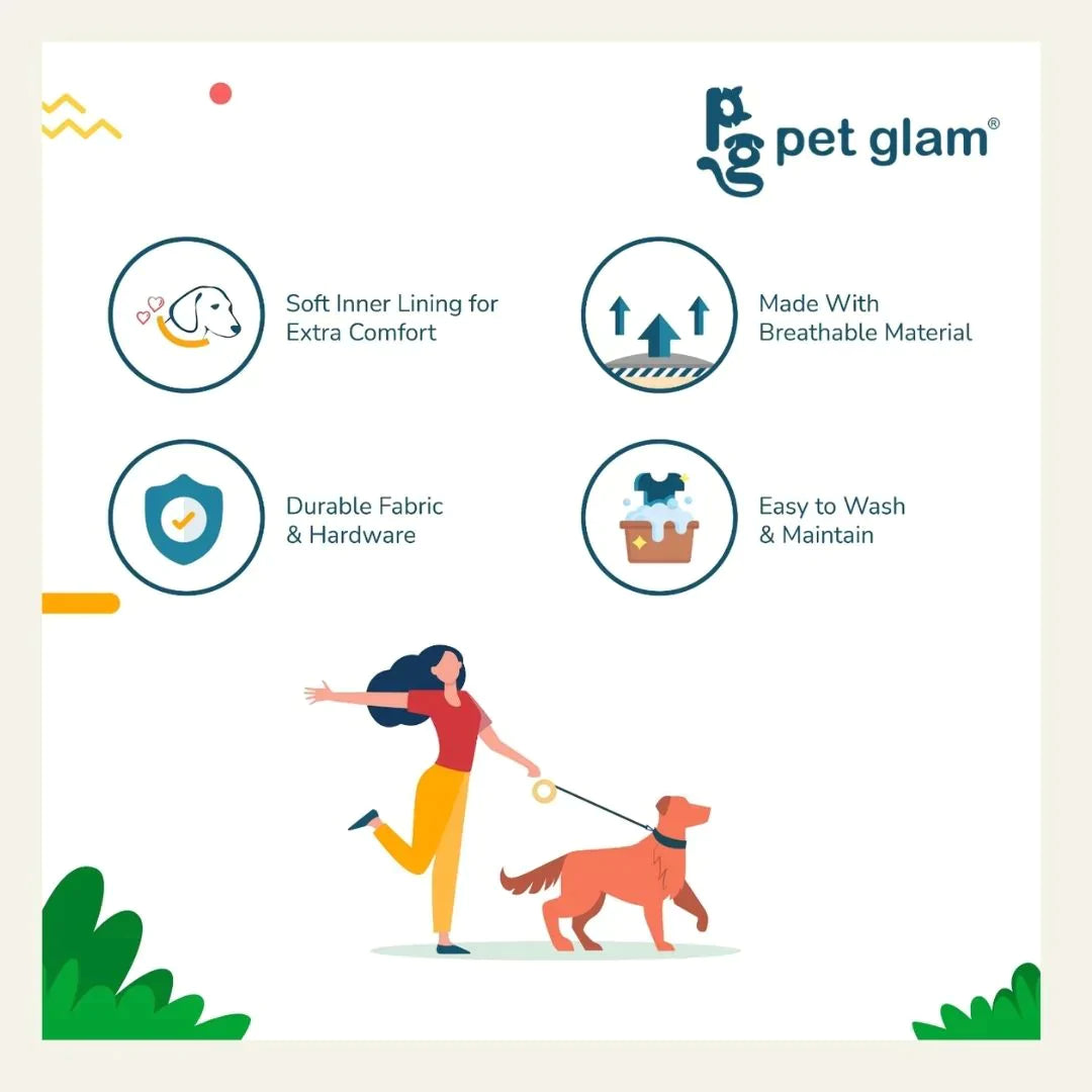 Pet Glam - Blaze - Dog Collar For Small, Medium & Large Dogs