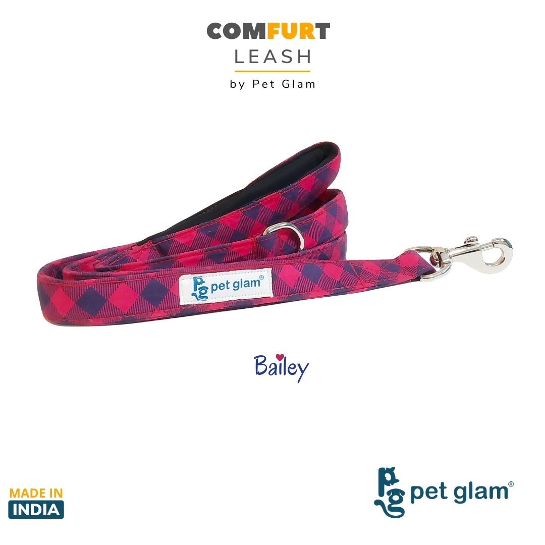 Pet Glam- Bailey - Leash For Big Dogs With Padded Handel 5 Ft Long 1 Inch Wide
