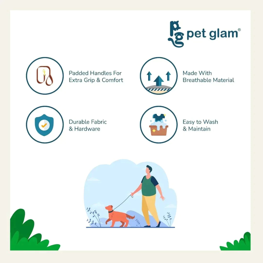 Pet Glam - Alpine -  Sprint Dog Leash With Padded Handle & Heavy Duty Hardware - 5 Feet Long 1 Inch Wide