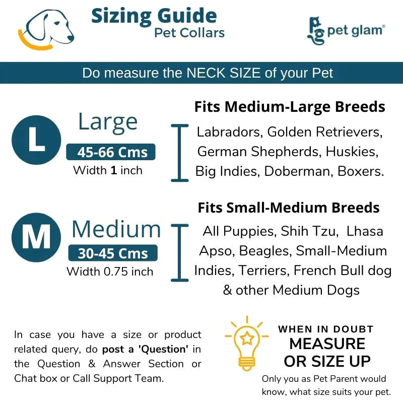 Hudson's bay dog sales collar