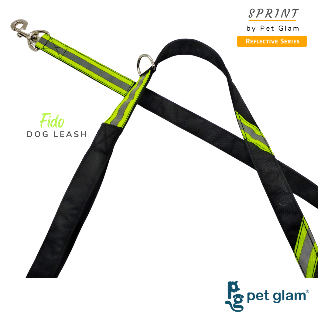 Pet Glam- Fido - Reflective Leash For Dogs With Soft Padded Handel 5 Ft Long 1 Inch Wide