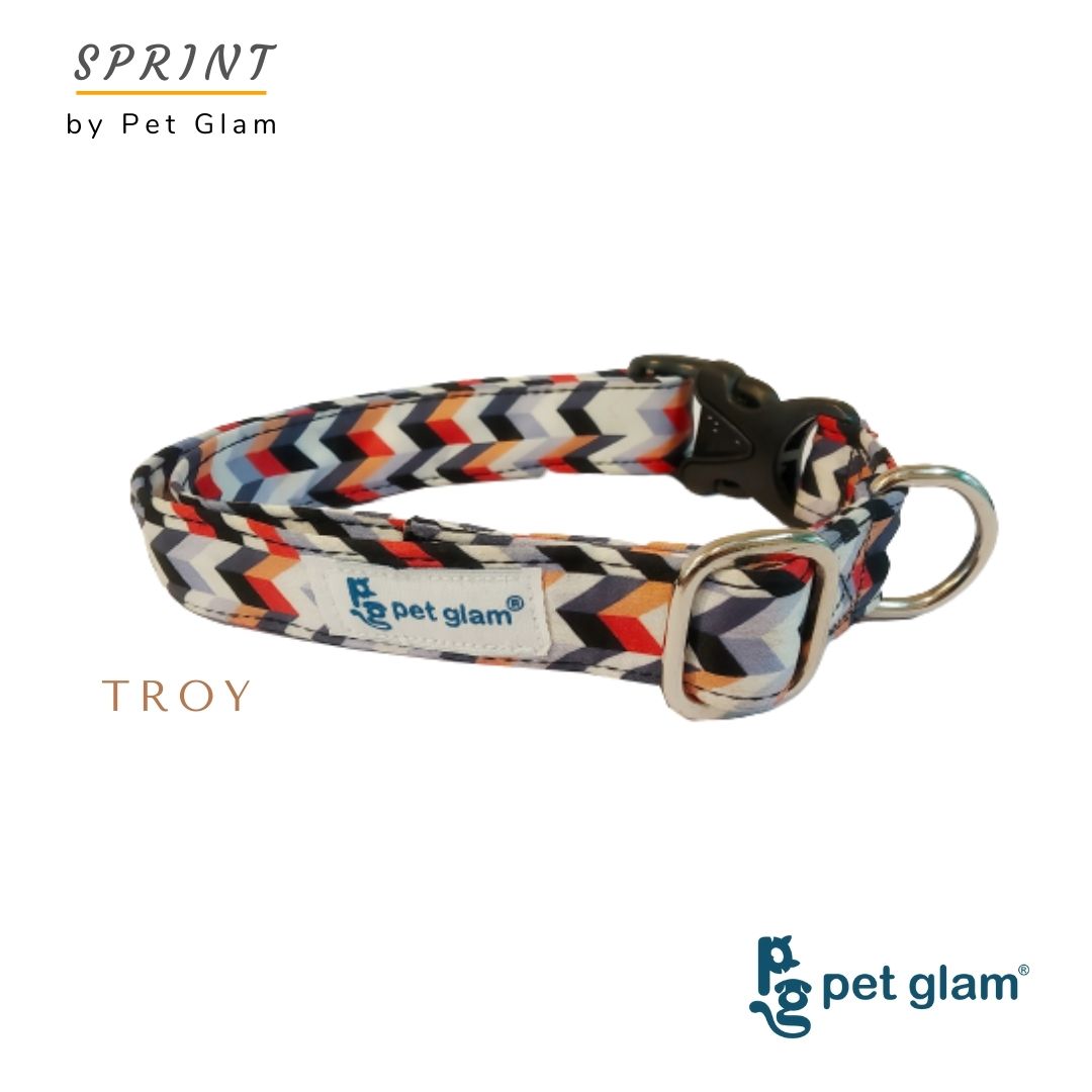 Pet Glam - Troy - Dog Collar For Small, Medium & Large Dogs