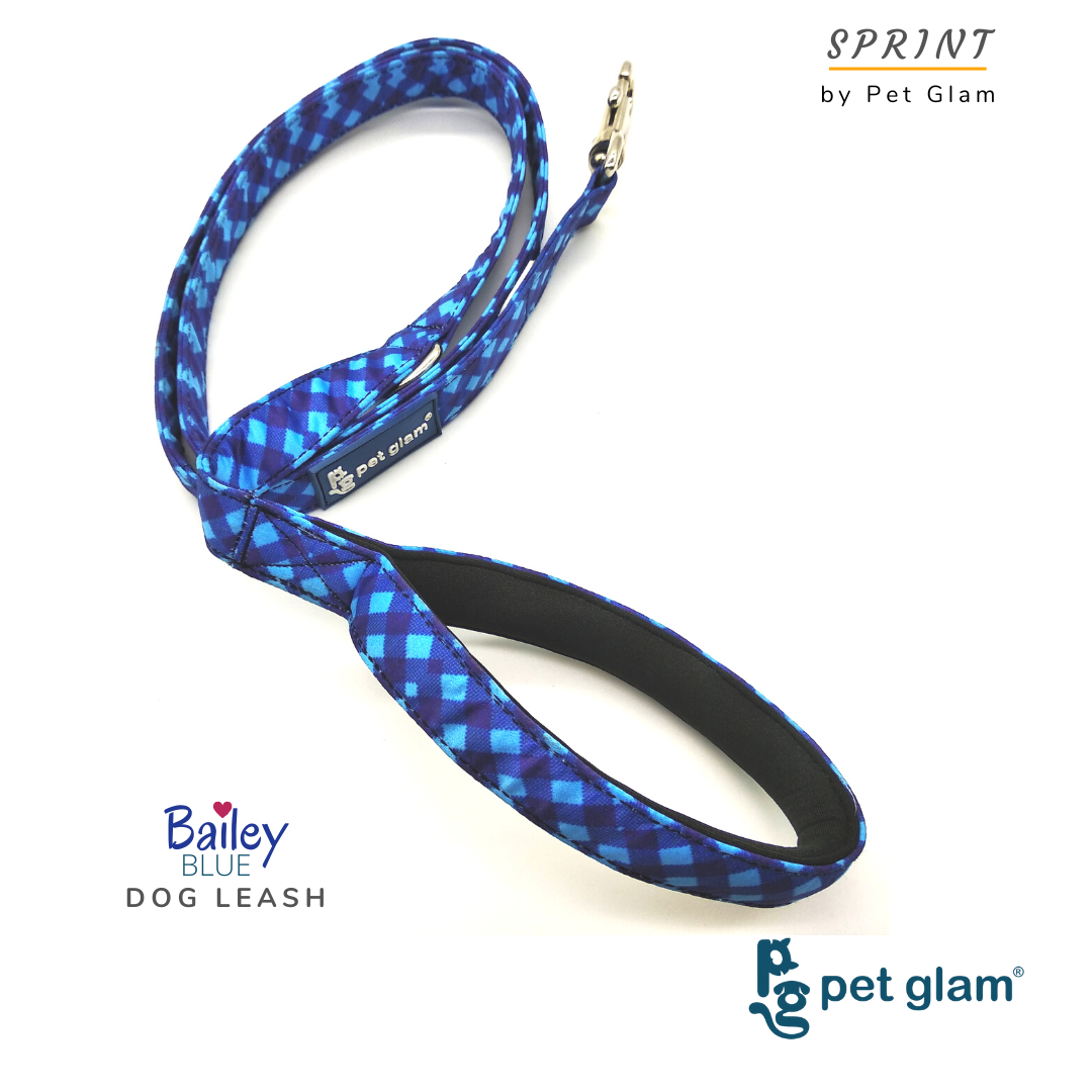 Pet Glam- Bailey Blue - Leash For Big Dogs With Padded Handel 5 Ft Long 1 Inch Wide