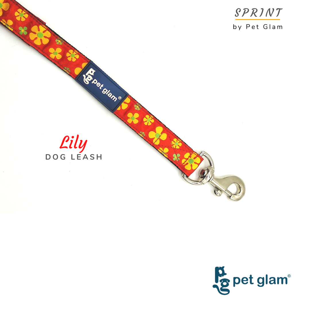 Pet Glam- Lily - Floral Leash For Large Dogs With Soft Padded Handel 5 Ft Long 1 Inch Wide