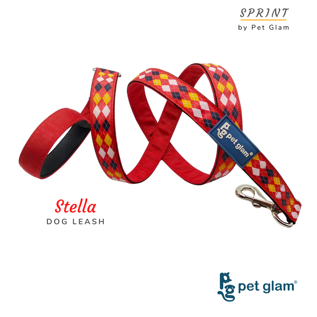 Pet Glam- Stella - Leash For Dogs With Soft Padded Handel 5 Ft Long 1 Inch Wide
