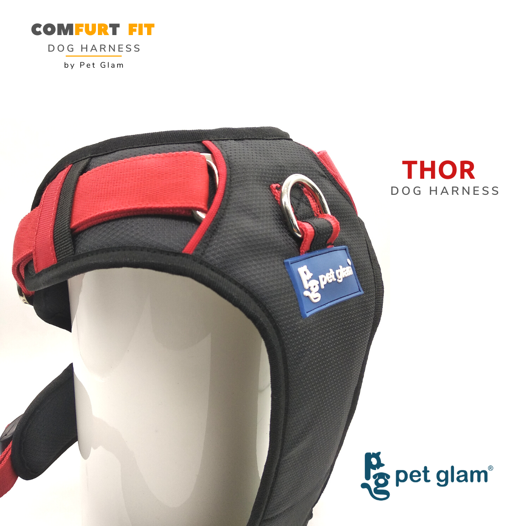 Thor dog shop harness