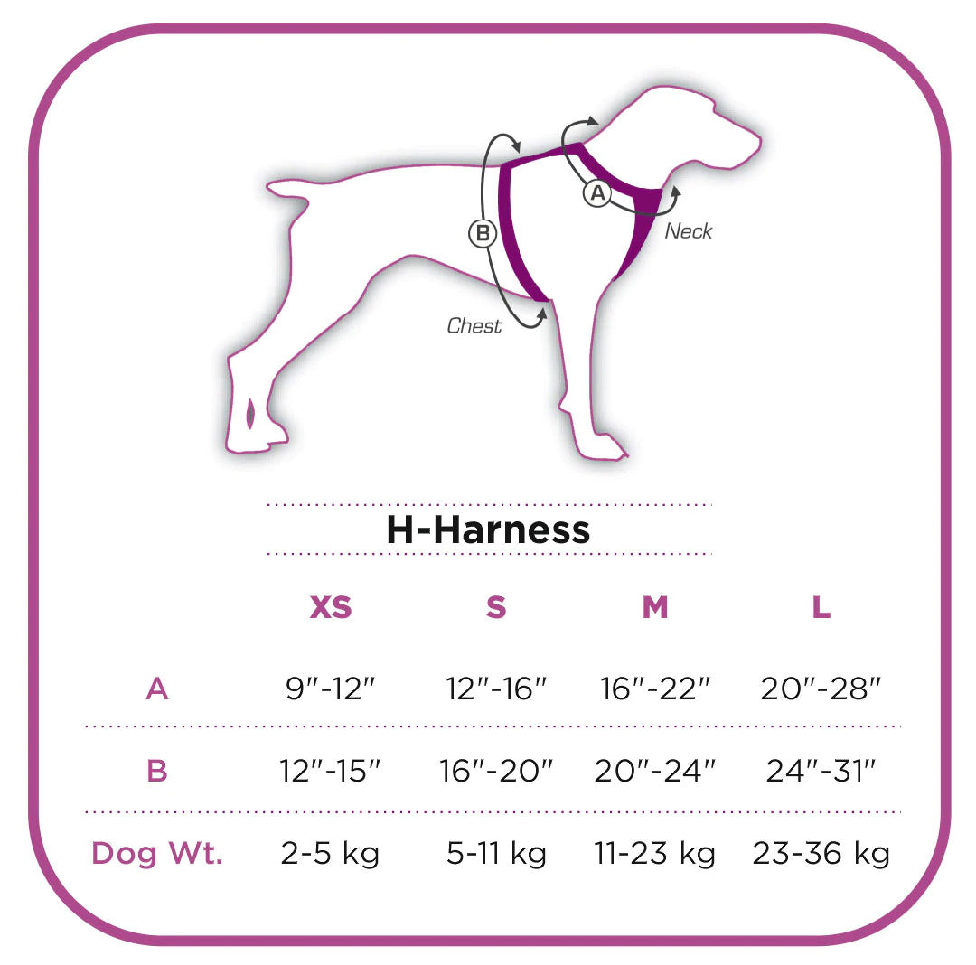 Cotton Adjustable Dog H-Harness (Blue)