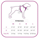 Cotton Adjustable Dog H-Harness (Blue)