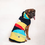 Sweater for Dogs 