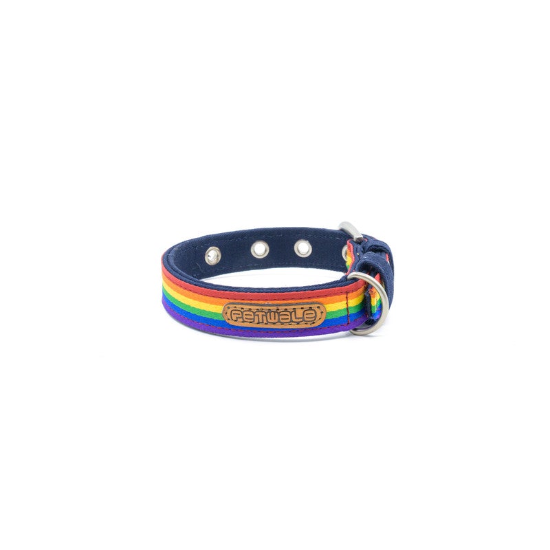 Rainbow Pride Belt Collar