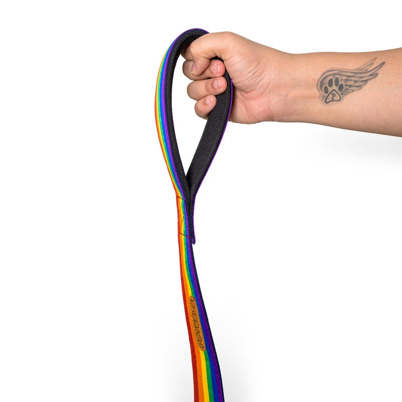Rainbow Pride Leash with Padded Handle