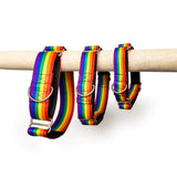Rainbow Pride Martingale Collar